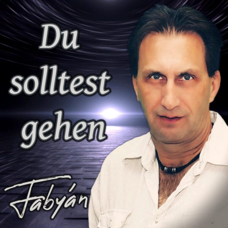 Cover Art -- Du solltest gehen - Fabyan